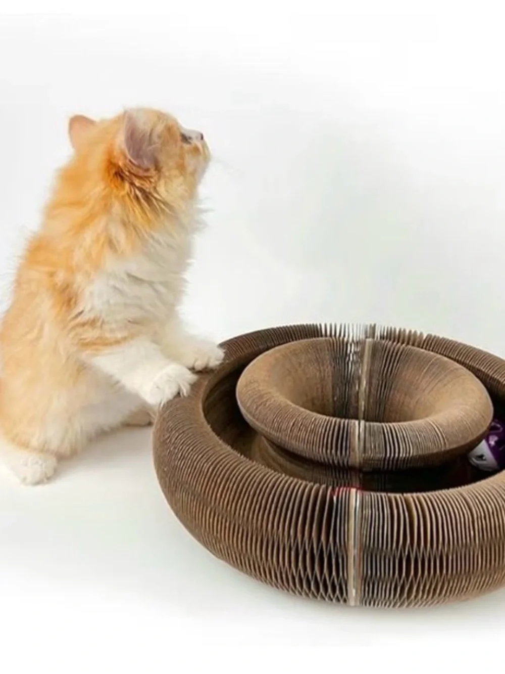 Cat Toy Interactive Ball Track